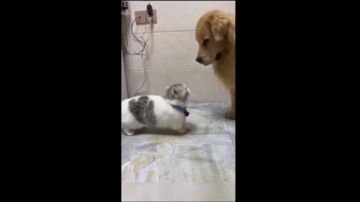 Topganhotty  07-12-2021 video naughty